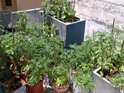 Kέρκυρα: Γέμισε με χασίς την ταράτσα του