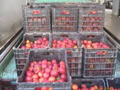 Το 41,5% των εξαγωγών στη Ρωσία είναι αγροτικά προϊόντα