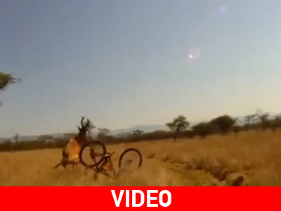 Προσοχή όταν κάνεις ποδήλατο στην Αφρική Προσοχή όταν κάνεις ποδήλατο στην Αφρική