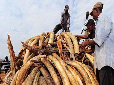 Ζιμπάμπουε: Λαθροθήρες δηλητηριάζουν το νερό