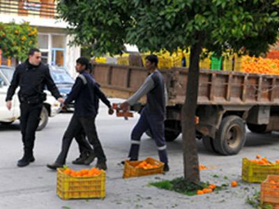 Γέμισε νεράτζια η Σπάρτη