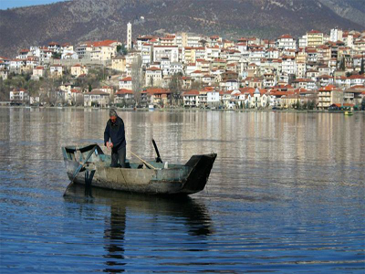 Ψάρι του Αμαζονίου εντοπίστηκε στη λίμνη της Καστοριάς