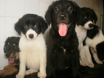 Ζητούν ένα ζεστό σπίτι