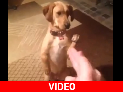 Μπαμ και κάτω Μπαμ και κάτω