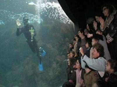 Ηράκλειο : Θεοφάνεια κάτω από το νερό από τον Αρχιεπίσκοπο Κρήτης Ηράκλειο : Θεοφάνεια κάτω από το νερό από τον Αρχιεπίσκοπο Κρήτης