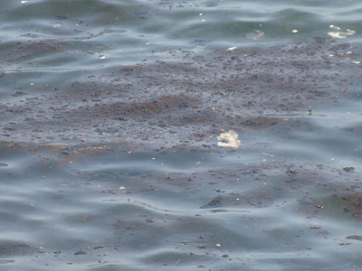 Ελέγχεται η ποιότητα των νερών στο Αγκίστρι