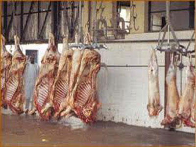 Αρνούνται να κλείσουν παράνομο σφαγείο