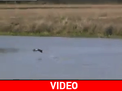 Πολύ βαρύ το ψάρι