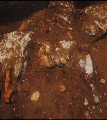 O σκελετός όπως βρέθηκε από την ανασκαφική ομάδα
