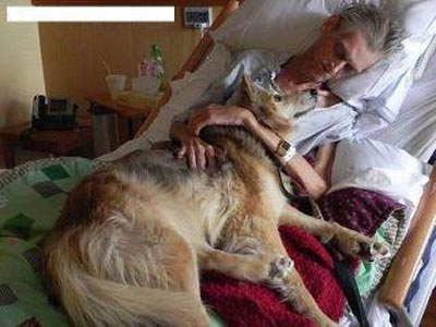 Πριν πεθάνει ζήτησε να δει να τον σκύλο του