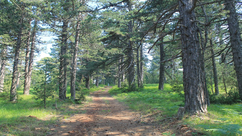 Πεζοπορία στο Εθνικό Πάρκο Βόρειας Πίνδου