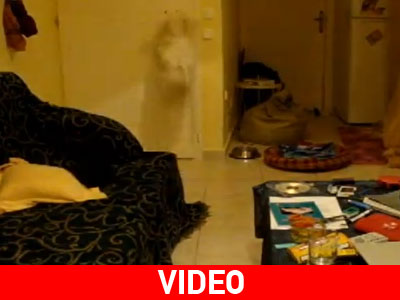 Το Μaltez που ξέρει να ανοίγει την πόρτα