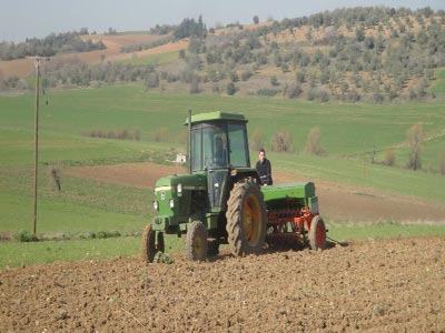 Στο Διαδίκτυο τα πρώτα στρέμματα