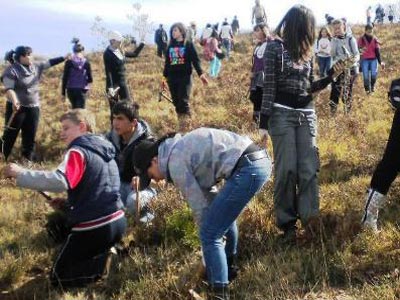 Έτοιμοι για δεντροφύτευση στους Σοφάδες