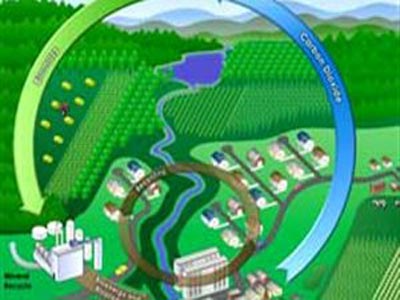 Στα σκαριά συνεταιριστική μονάδα βιομάζας στον Έβρο