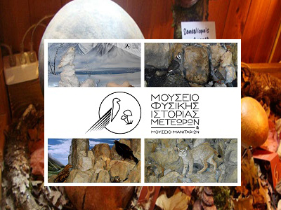 Ανοίγει τις πύλες του σύντομα το μουσείο άγριων ζώων και μανιταριών Ανοίγει τις πύλες του σύντομα το μουσείο άγριων ζώων και μανιταριών