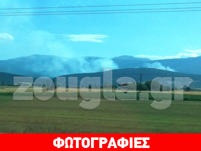 Πυρκαγιά κοντά στον Αλμυρό Μαγνησίας