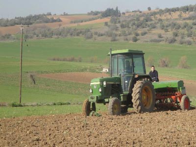 Εισέπρατταν επιδοτήσεις με εικονικά τιμολόγια