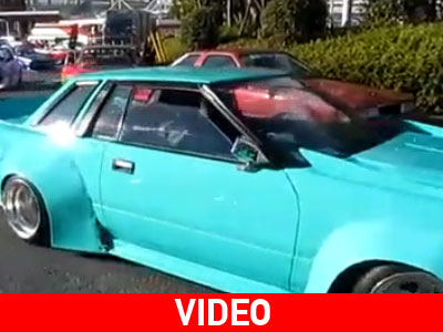 Οι κάγκουρες της Ιαπωνίας Οι κάγκουρες της Ιαπωνίας