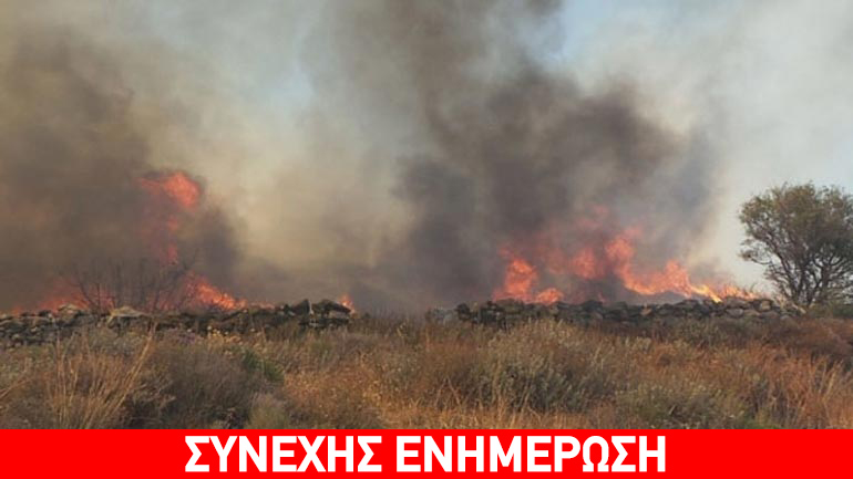 Μεγάλη φωτιά στο Δίστομο – κινδυνεύουν σπίτια