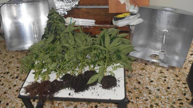 Καβάλα: Nεαρός είχε μετατρέψει το δωμάτιό του σε χώρο καλλιέργειας κάνναβης
