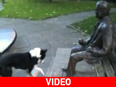 Μα γιατί δεν κουνιέται;