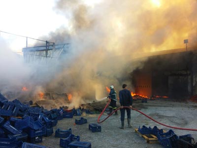 Φωτιά κατέστρεψε ολοσχερώς διαλογητήριο φρούτων στην Ακρολίμνη Πέλλας