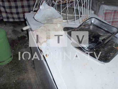 Αρκούδα έκανε γυαλιά καρφιά καφενείο στην Ήπειρο