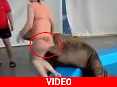 Ο θαλάσσιος ελέφαντας ξέρει από οπίσθια