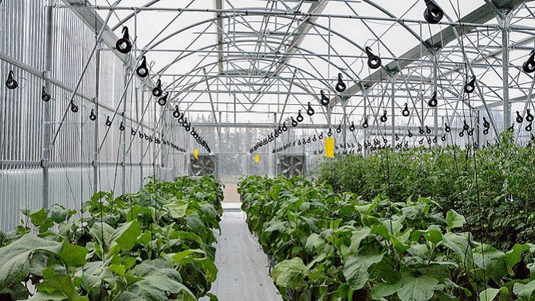 Γεωθερμικά θερμοκήπια στο ΤΕΙ Θεσσαλίας