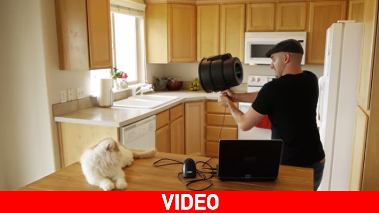 Catzooka: O εκτοξευτής γατών