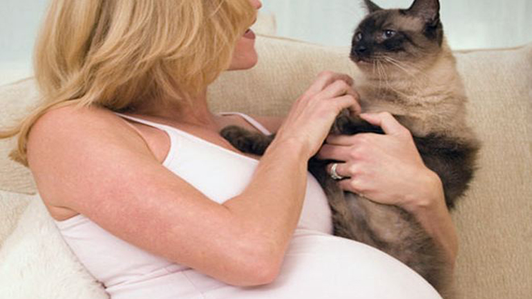 Τώρα που είστε έγκυος προλάβετε την τοξοπλάσμωση