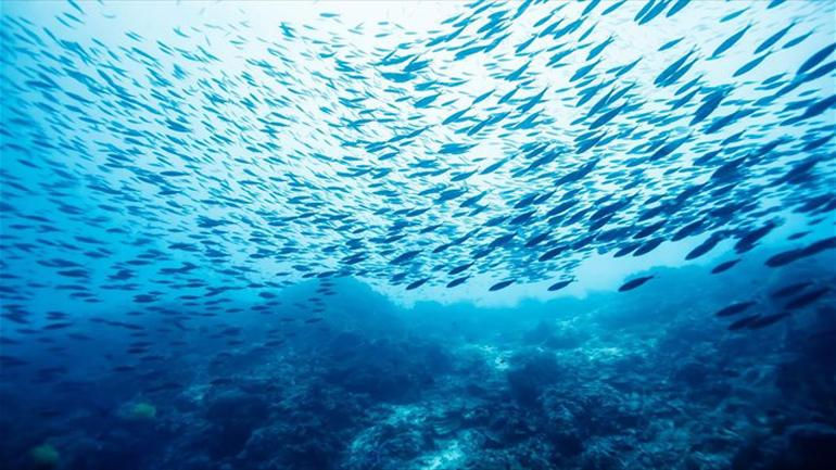 Νέα συνεργασία Κίνας – ΗΠΑ για την προστασία των ωκεανών