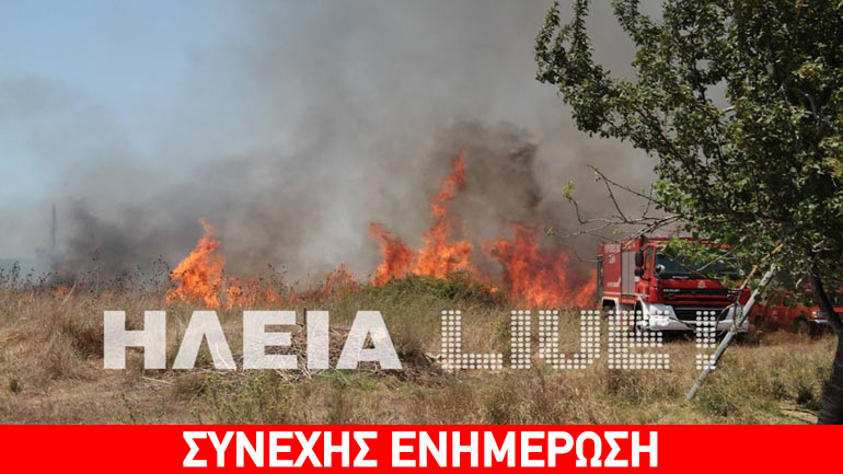 Μεγάλη πυρκαγιά στην Ηλεία – καίγονται ξερά χόρτα