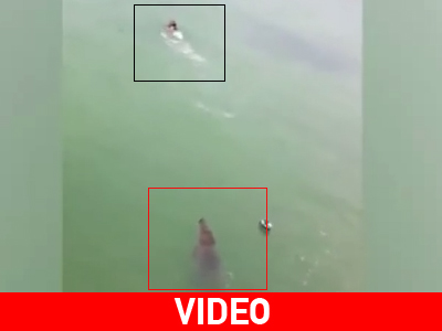 Μεξικό: O κροκόδειλος μυρίστηκε τον τουρίστα