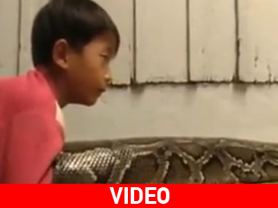 Έχουν πύθωνα για κατοικίδιο