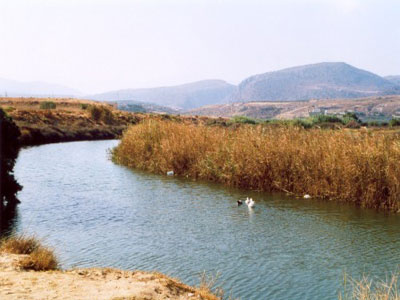 Δράσεις ενημέρωσης και προστασίας της βιοποικιλότητας του Αποσελέμη