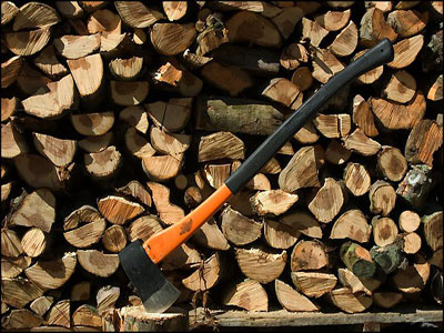 Σε έξαρση η παράνομη υλοτομία στην Κέρκυρα