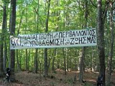 Θα κόψουν το δάσος των Σκουριών με εντολή του υπουργείου Περιβάλλοντος