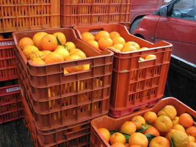 Την Παρασκευή στους λογαριασμούς των παραγωγών η ενίσχυση των 33 εκατ. ευρώ