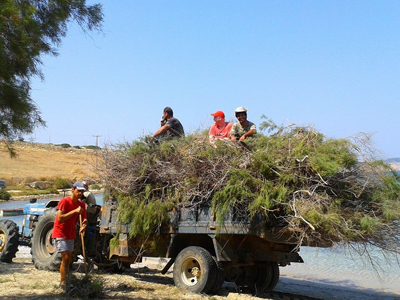 Εθελοντές καθάρισαν τις παραλίες της Σχοινούσας