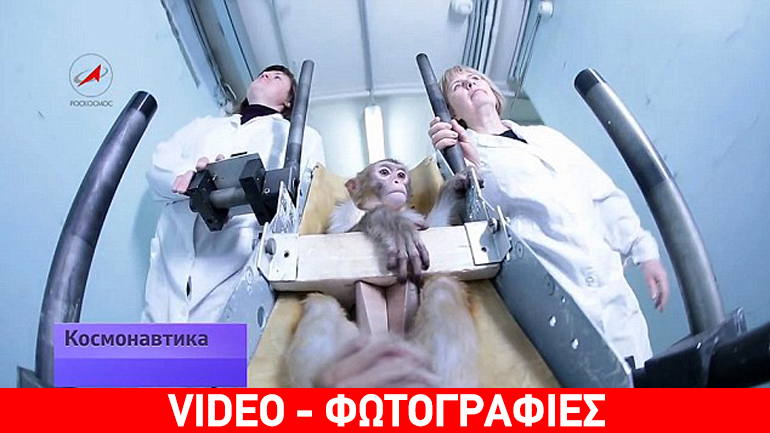 Η Ρωσία στέλνει τέσσερις πιθήκους στον πλανήτη Άρη