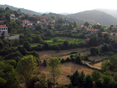 Δενδροφύτευση στις Αραχαμίτες