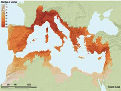 Επιστημονική συζήτηση για το κρίσιμο μέλλον της Μεσογείου