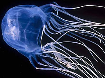 Σώθηκε από θαύμα