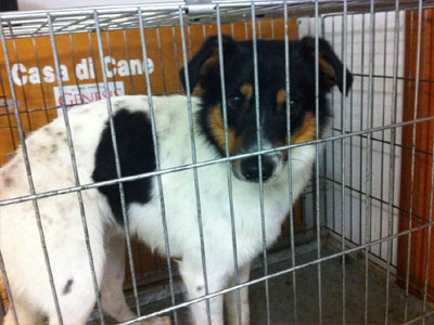 Μήπως τον ψάχνετε;