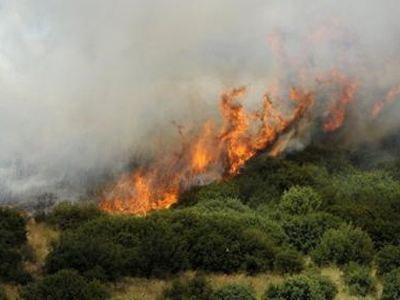 Σε εξέλιξη πυρκαγιά στη Μελιταία Δομοκού