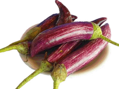 Γιορτή μελιτζάνας στο Λεωνίδιο