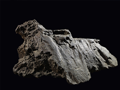 Δημοπρασία για εκκεντρικούς –και πλούσιους- συλλέκτες