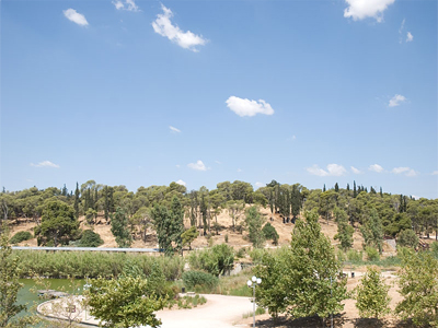 Προωθείται η εκπόνηση του σχεδίου για το μητροπολιτικό πάρκο